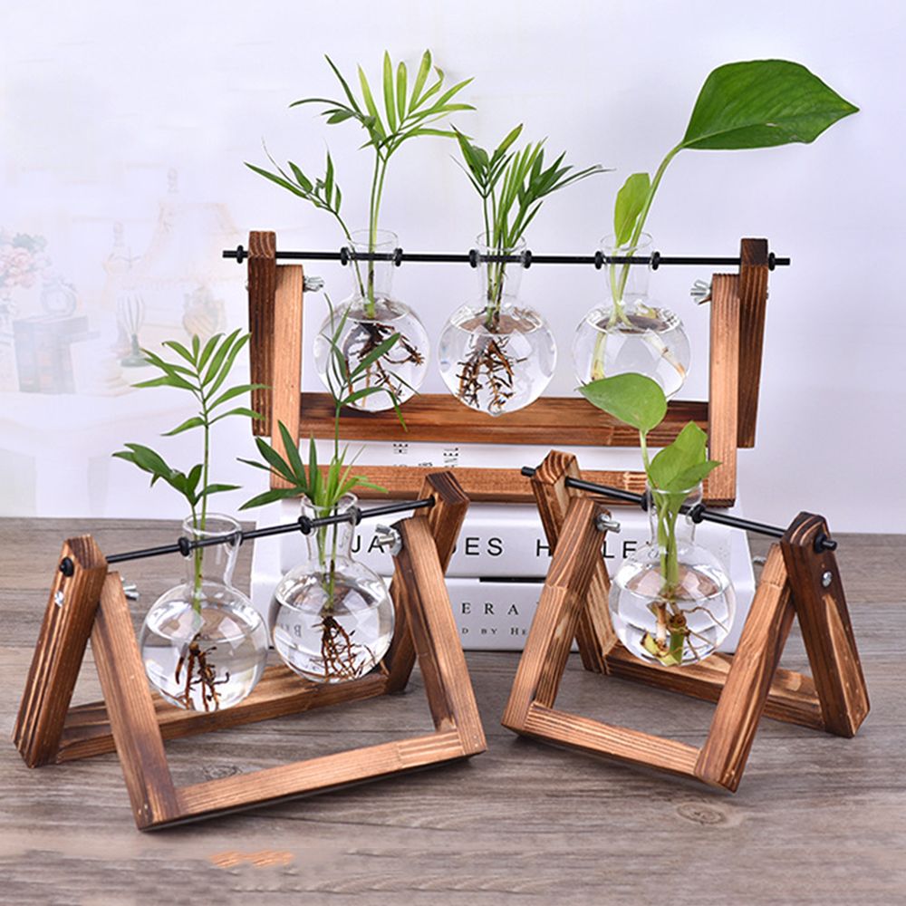 Glass Vase Nordic - Hydroponiczne wazony na rośliny Szklany wazon